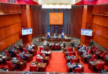 Senado aprueba ley contra la publicidad engañosa en el sector inmobiliario