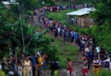 El movimiento migratorio por Centroamérica hacia el norte se desplomó en 2025