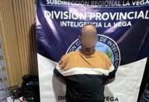 Dintel ocupa dos armas de fuego durante allanamiento en La Vega