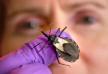 14 de Abril, Día Mundial de la Enfermedad de Chagas