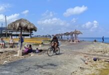 Banca privada, tierras en usufructo y fin de los subsidios: claves de las reformas en Cuba