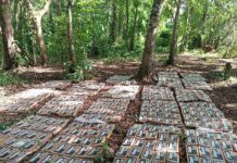 Ejército de Nicaragua incauta 475 paquetes de cocaína cerca de frontera con Costa Rica