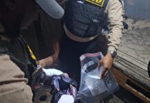 DNCD incauta más de tres kilos de drogas y arresta a tres hombres en el Nordeste