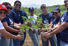 SNS realiza jornada de reforestación en Valverde