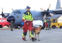 Bomberos, perros, drones, forenses: así ayuda la comunidad internacional a Venezuela