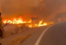 Confían en controlar este lunes el fuego en Andalucía que causó 13 muertos