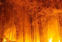 12 muertos y 8 heridos en un incendio en el sur de España, el más grave hasta la fecha