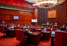 En maratónica sesión, el Senado aprueba en primera lectura reformas a Ley Orgánica de la Policía Nacional