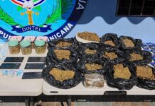 Operativo del DINTEL en Capotillo deja drogas, 46 tragamonedas y más de mil tarjetas destinadas a clonación