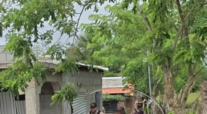 DNCD intensifica operativos contra el microtráfico en los municipios de SFM y Pimentel