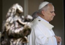 El papa exige la liberación de los rehenes en Haití y acabar con la violencia