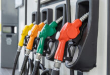 Gobierno congela los combustibles esta semana