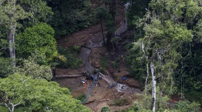 Video | Oro en el Darién: el complejo sistema ilícito del Clan del Golfo que Panamá quiere romper