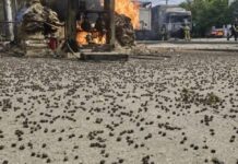 El responsable de una empresa de drones rusos, en estado crítico, tras atentado con bomba