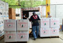 Ministerio de Salud recibe más de 300 mil dosis de vacuna hexavalente y 50 mil tetravalente acelular para fortalecer el esquema nacional de inmunización