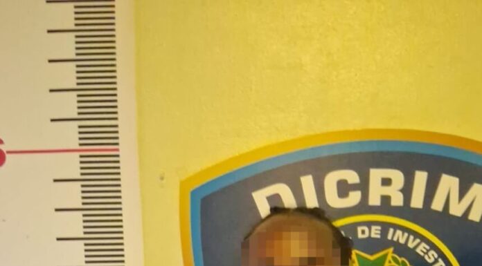 Policía Nacional apresa hombre en Nagua tras ocuparle vehículo reportado como robado en La Vega