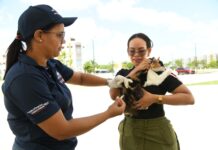 Ministerio de Salud vacuna más de cien perros y gatos durante jornada antirrábica en Ciudad Juan Bosch