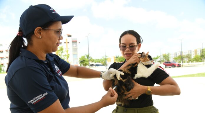 Ministerio de Salud vacuna más de cien perros y gatos durante jornada antirrábica en Ciudad Juan Bosch