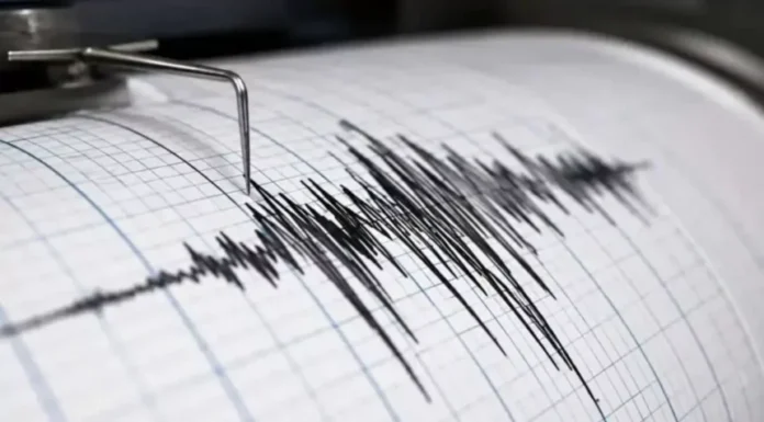 Registran un sismo de magnitud 3,4 en una provincia amazónica de Ecuador