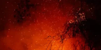 De la Espriella crea grupo élite para perseguir a responsables de incendios en Colombia