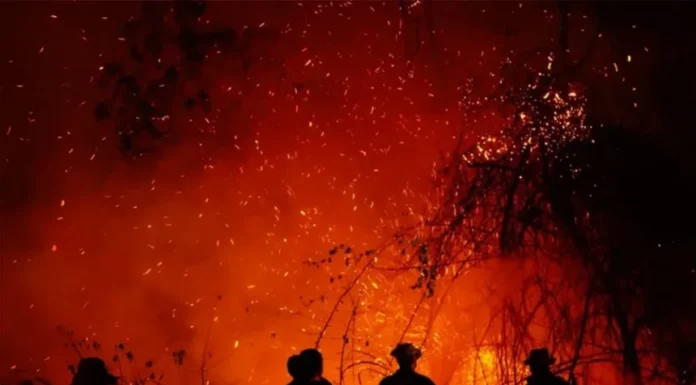 De la Espriella crea grupo élite para perseguir a responsables de incendios en Colombia