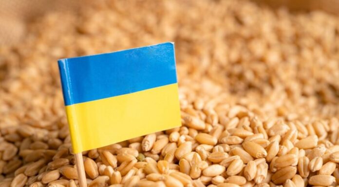 Ucrania busca salidas al bloqueo de sus puertos, que asfixia sus exportaciones de cereales