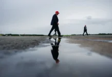 Corea del Sur rechaza apoyar la política de Trump sobre la desnuclearización de Irán