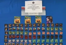 Incautan más 930,000 gramos de distintos narcóticos y detienen a más de 3,000 personas