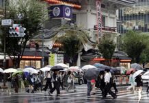 Un muerto y 41 heridos por deslizamientos de tierra y fuertes lluvias en Japón