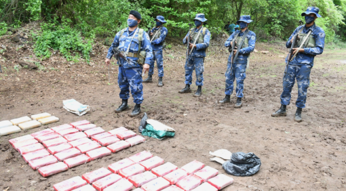 El Ejército de Nicaragua decomisó 1.381 kilos de drogas en el último año