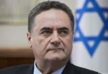 Ministro de Defensa israelí tilda de «intento de atentado yihadista» el suceso de FlyDubai