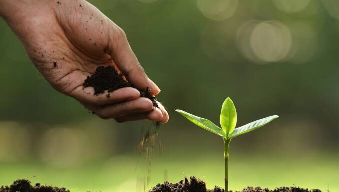 Celebramos el Día Mundial de la Agricultura, clave para el desarrollo sostenible