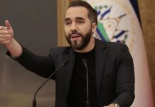 Bukele: El Salvador liberaría a colaboradores de maras con baja participación en delitos