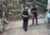 DNCD arresta a 12 personas y ocupa drogas en operativos en San Cristóbal, Peravia y Azua