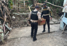 DNCD arresta a 12 personas y ocupa drogas en operativos en San Cristóbal, Peravia y Azua