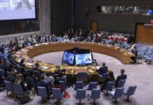 Rusia veta la resolución de EE.UU. para renovar la misión de la ONU en el Sáhara