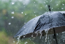 Lluvias ligeras y altas temperaturas marcarán el clima este viernes, según Indomet