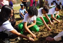 Escuelas que cultivan: Educación reconocerá buenas prácticas en huertos escolares