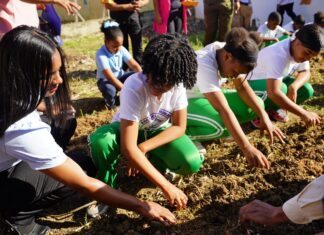 Escuelas que cultivan: Educación reconocerá buenas prácticas en huertos escolares