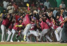 Ozuna dispara jonrón con bases llenas y Gigantes remontan ante Escogido